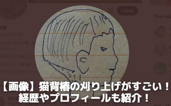 【画像】猫背椿の刈り上げがすごい！経歴やプロフィールも紹介！