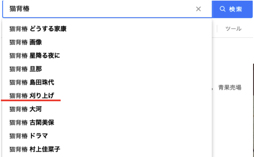 猫背椿 検索